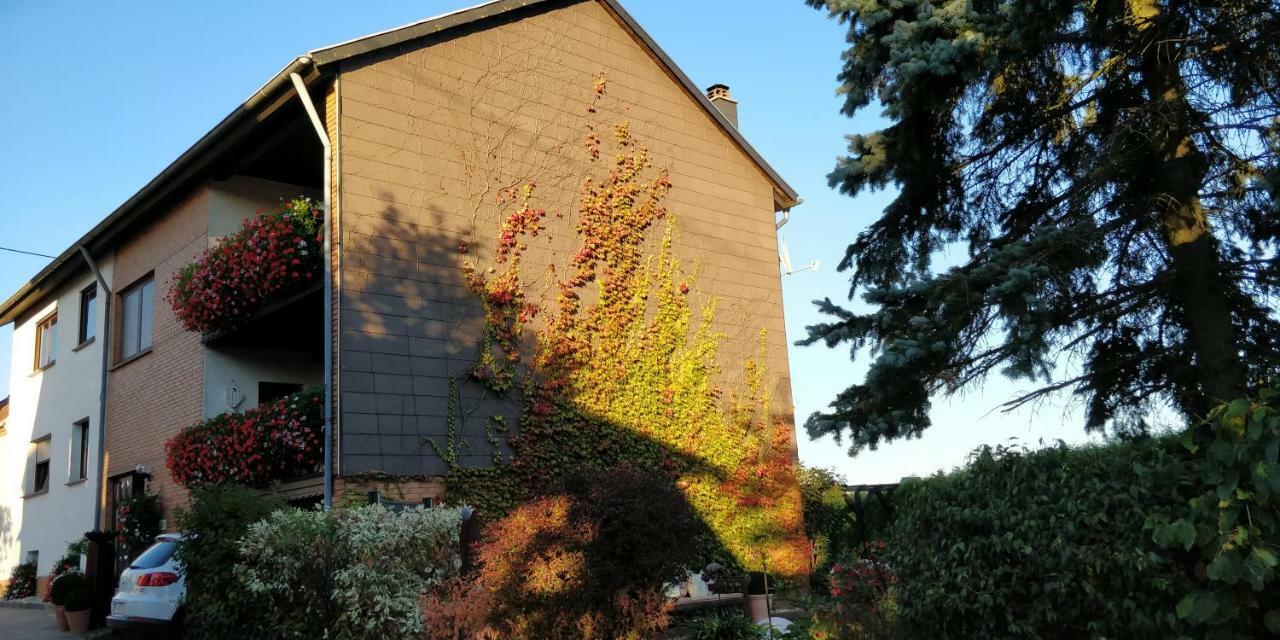 Ursula'S Ferienwohnung Marpingen Exteriér fotografie